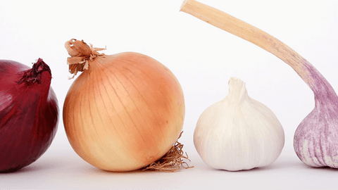 Allium intolerance and allergy symptoms | Onion & Garlic – Check My ...