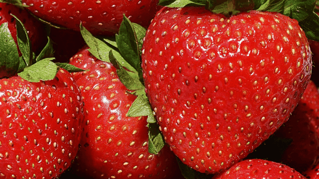 Strawberry Intolerance & Allergy | Signs & Symptoms – Check My Body ...